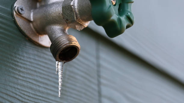 Best Shower Repair Services  in Belleville, KS